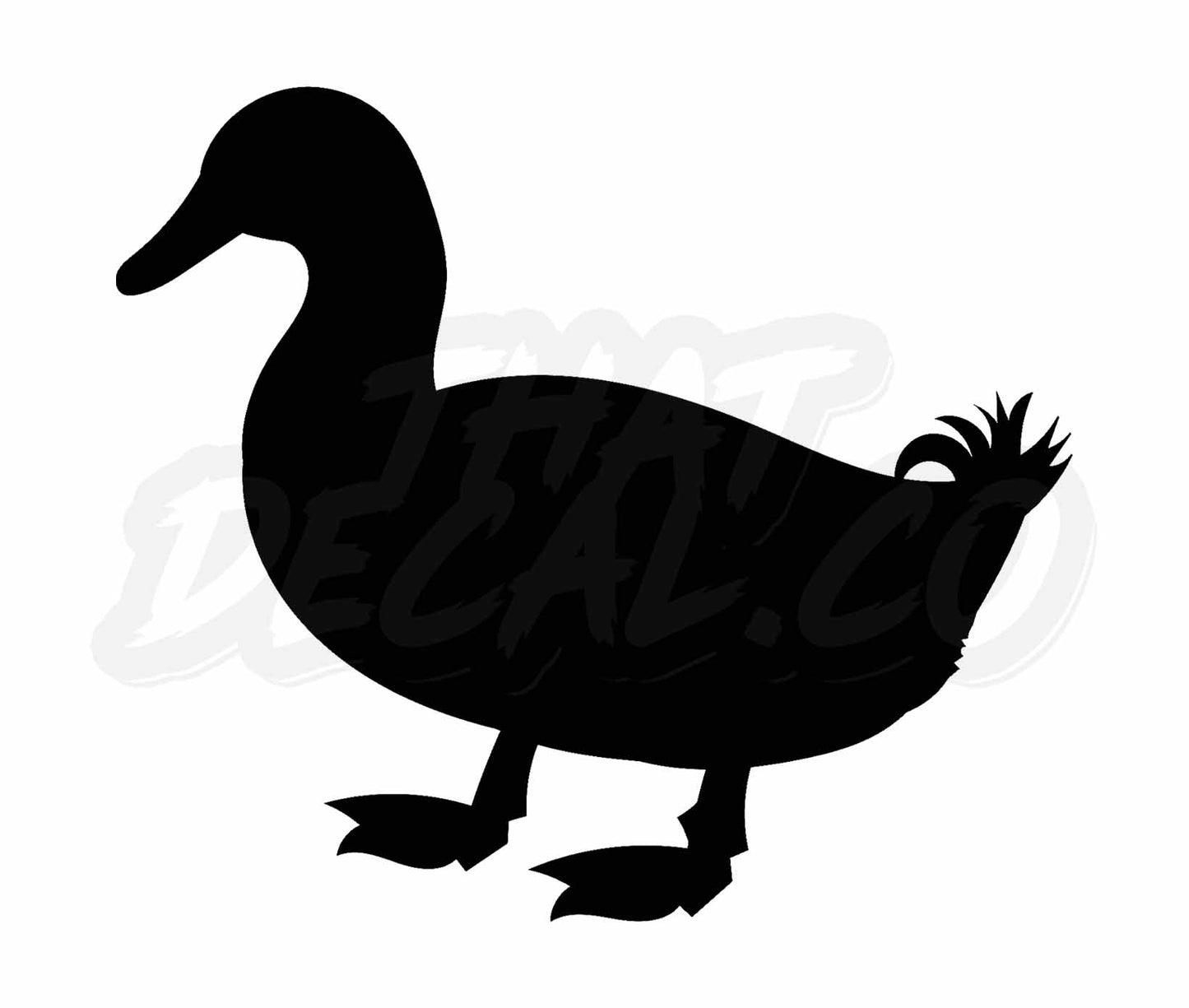 Duck