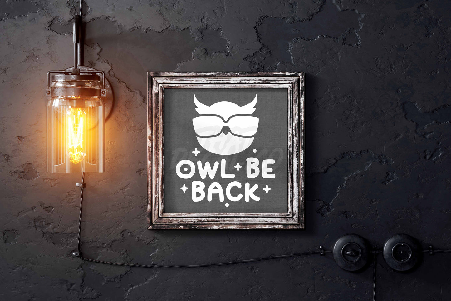 Owl Be Back