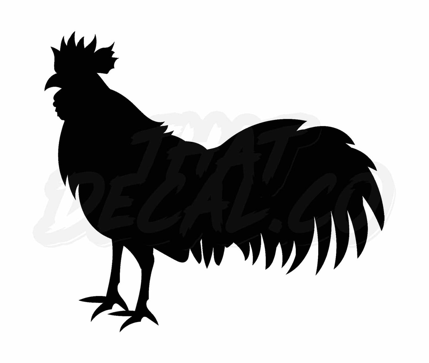 Rooster