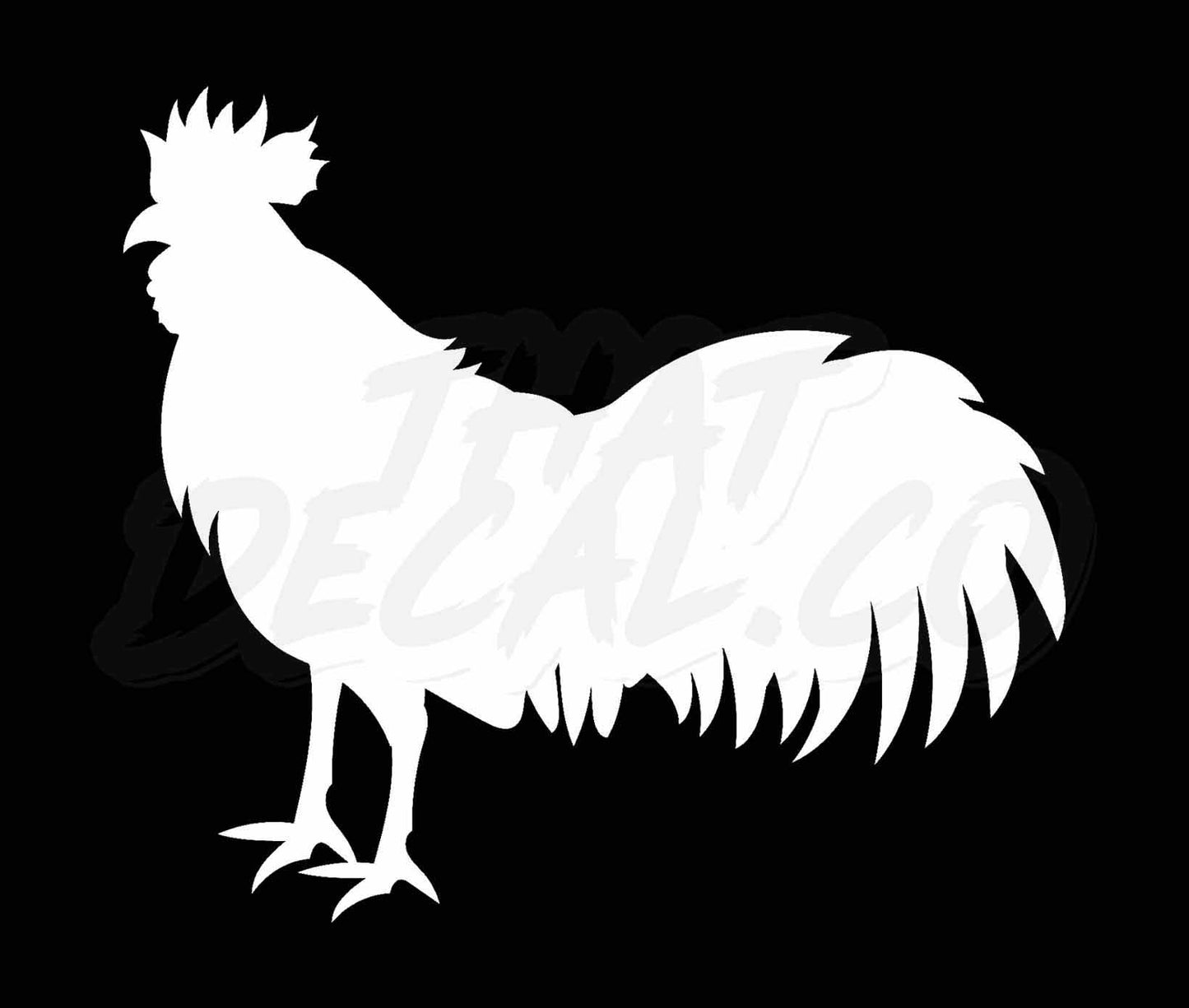 Rooster