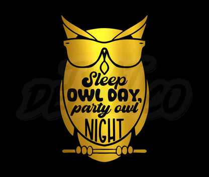 Sleep Owl Day Party Owl Night