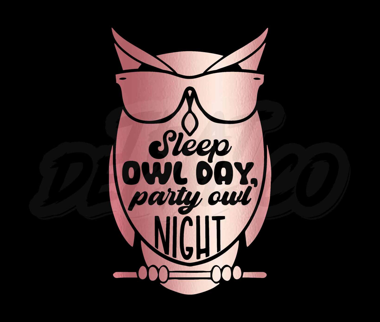 Sleep Owl Day Party Owl Night