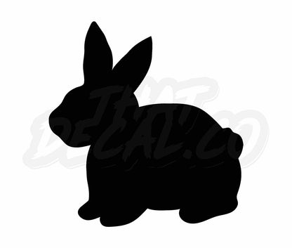 Bunny(2)