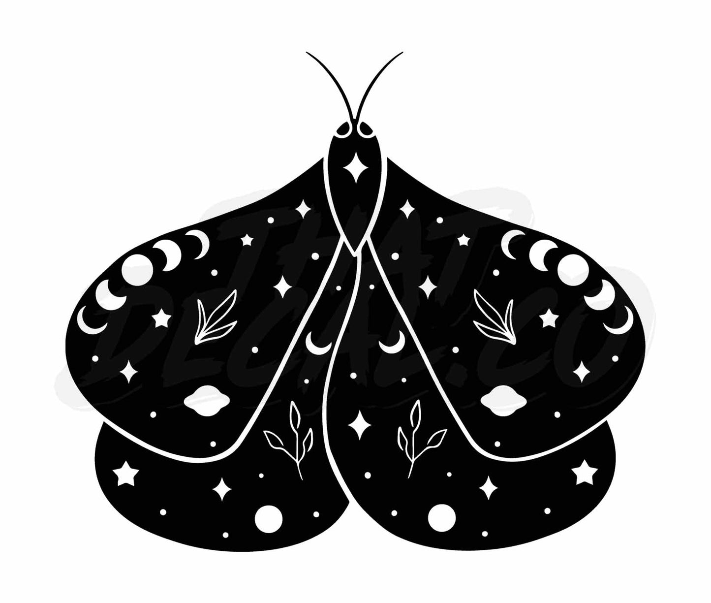 Celestial Moth