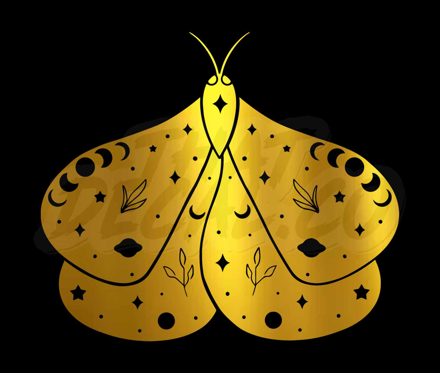 Celestial Moth