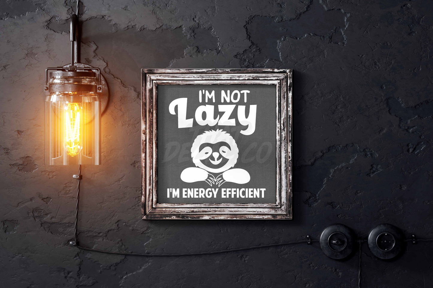 Im Not Lazy Im Energy Efficient