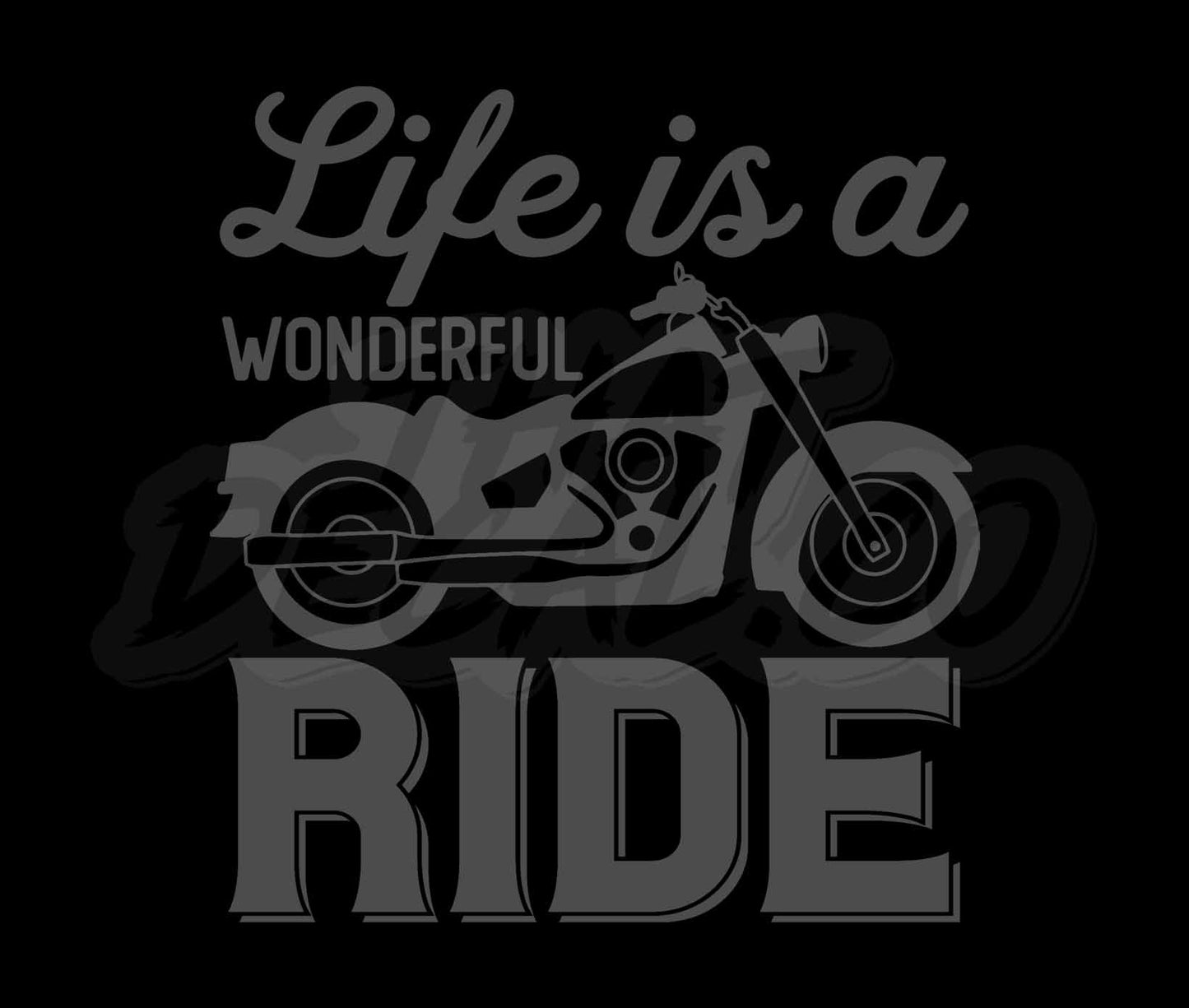 Life Is A Wonderful Ride