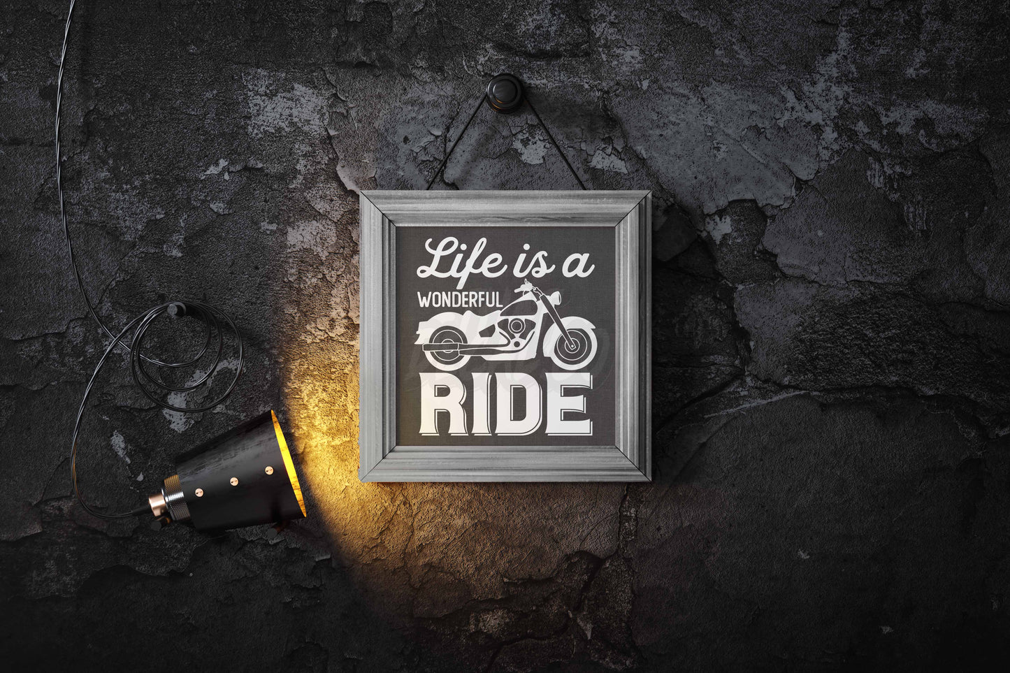 Life Is A Wonderful Ride