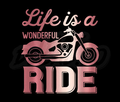 Life Is A Wonderful Ride