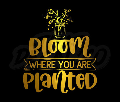 Bloom Where You Are Planted