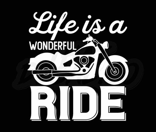 Life Is A Wonderful Ride