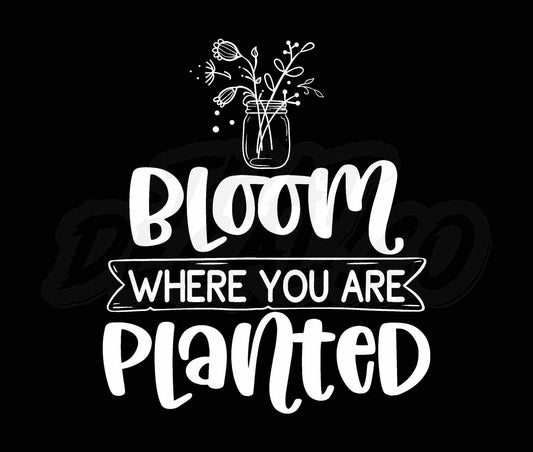 Bloom Where You Are Planted